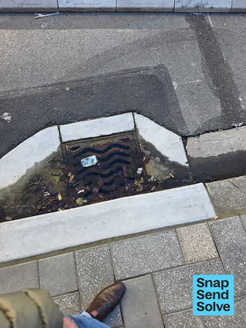 Street Gutters / Storm Water, a report photo