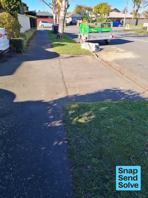 Litter, a report photo