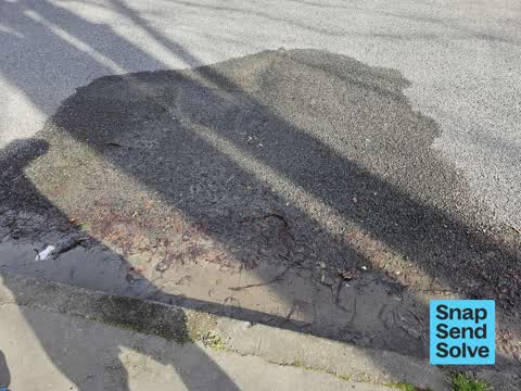 Water Leak, a report photo