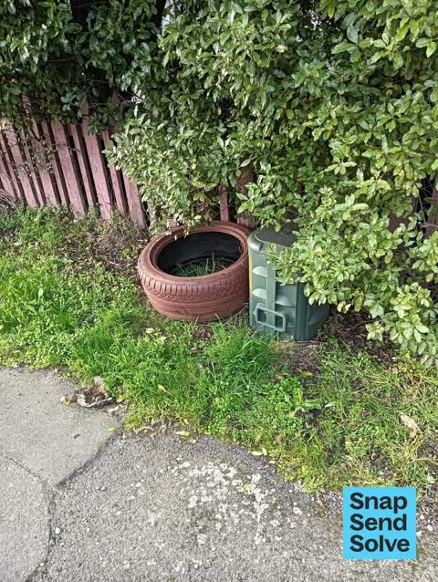 Dumped Rubbish, a report photo