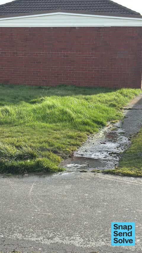 Water Leak, a report photo