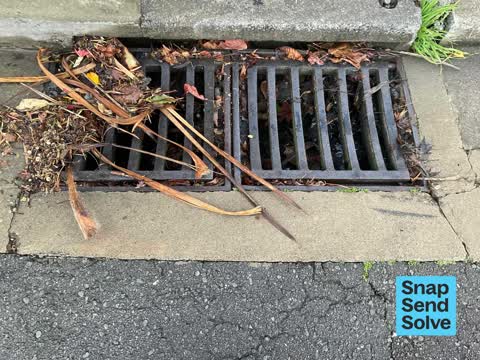 Street Gutters / Storm Water, a report photo