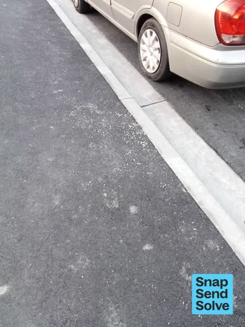 General Request — a report photo