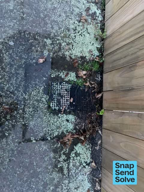 Water Leak, a report photo