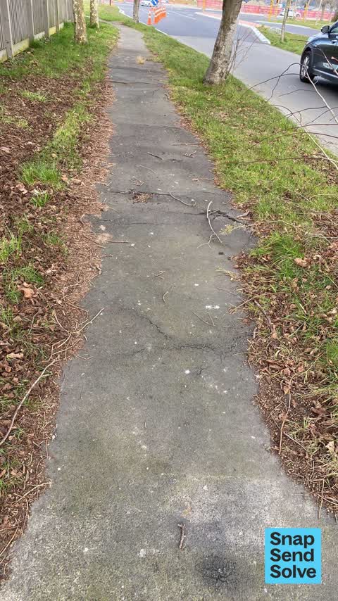 Pavement - Damaged, a report photo