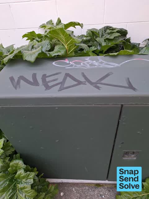 Graffiti on a fence, building or structure, a report photo