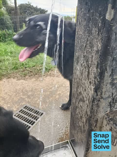 Water Fountain, a report photo