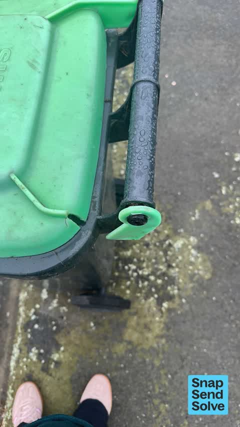 Rubbish and Bins - General, a report photo