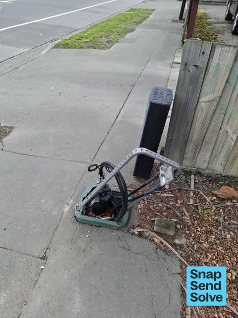 General Request, a report photo