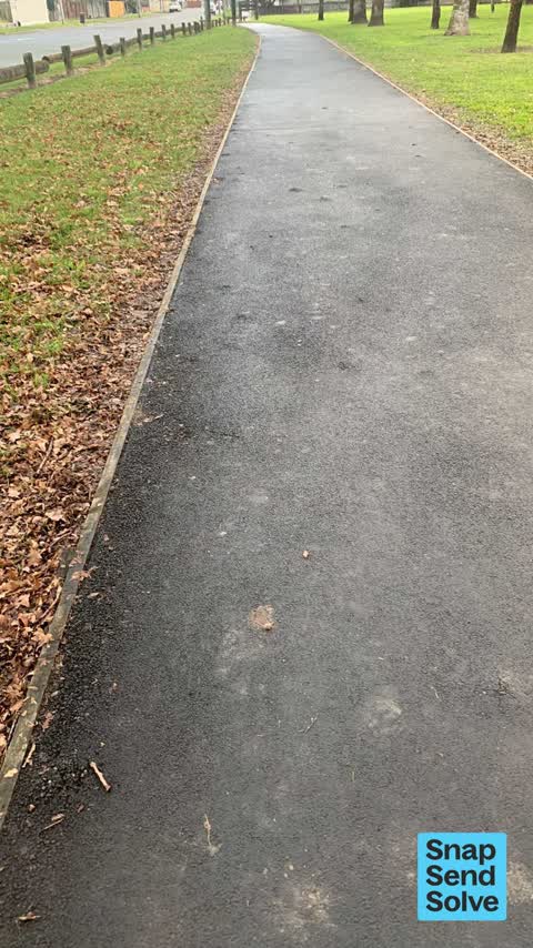 Park - General Request, a report photo