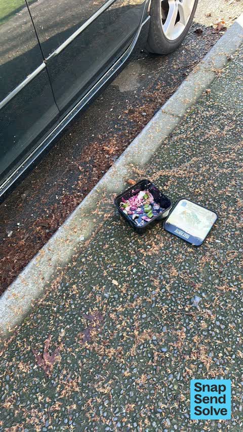 Dumped Rubbish, a report photo