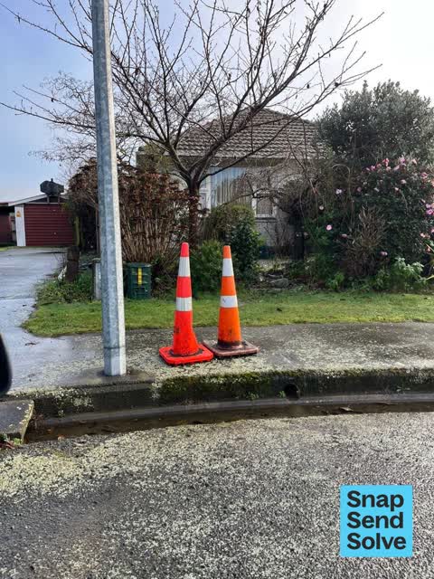 General Request, a report photo