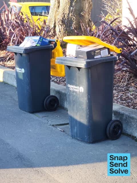 Rubbish and Bins - General — a report photo