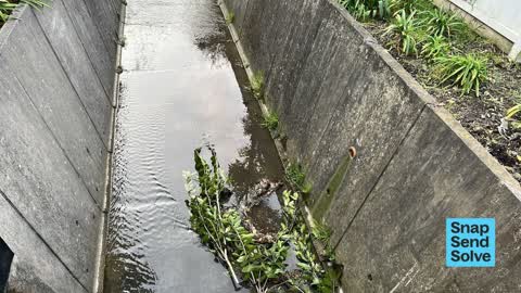 Dumped Rubbish, a report photo
