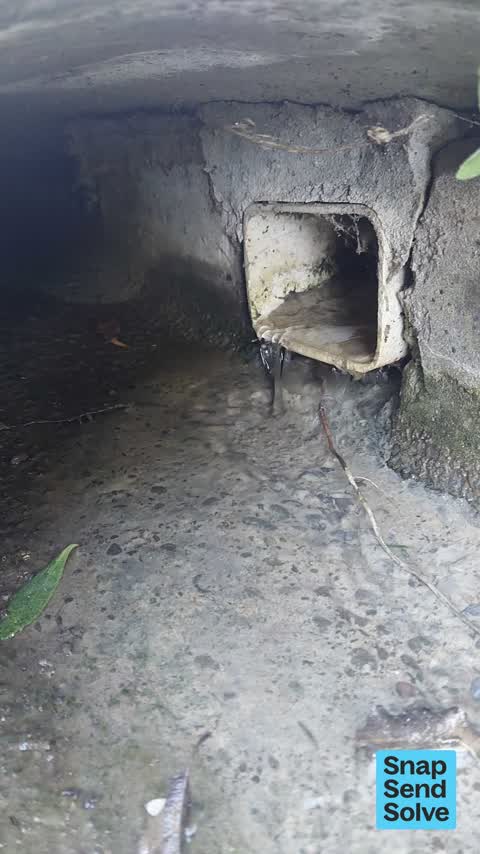 Water Leak, a report photo