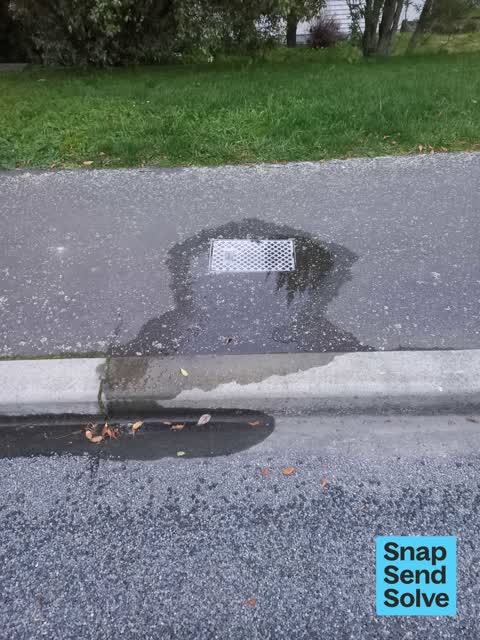 Water Leak, a report photo