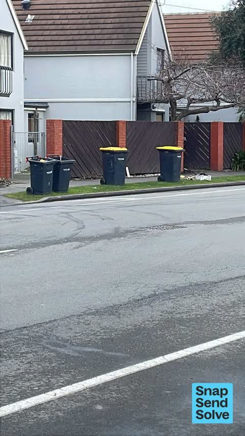Litter, a report photo