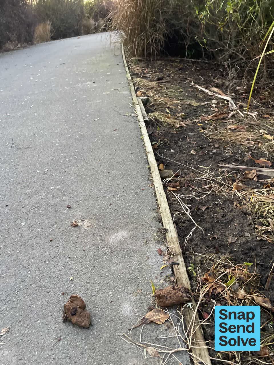 The photograph attached to this pavement - general report