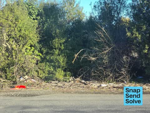 Dumped Rubbish, a report photo