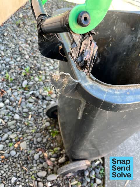 Rubbish and Bins - General, a report photo