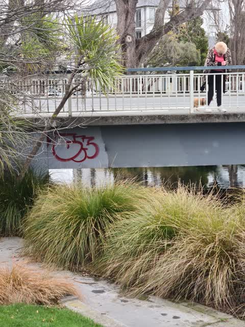 Graffiti on a road, footpath or bridge — a report photo
