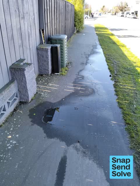 Water Leak, a report photo