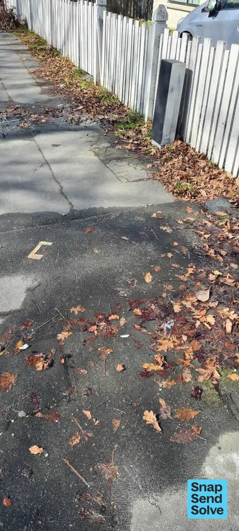 Sewer - Leak / Blockage, a report photo