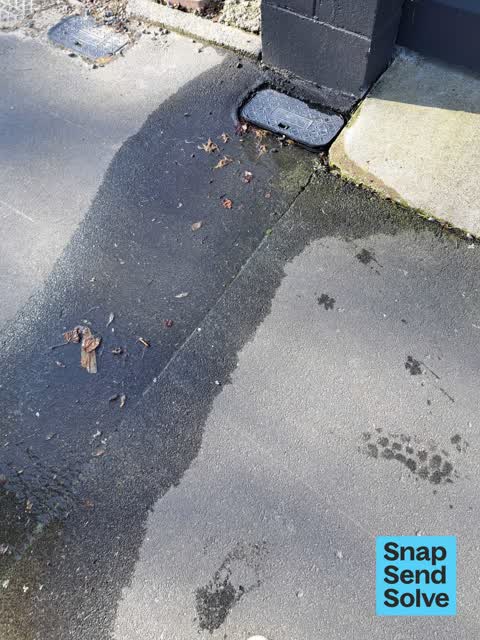 Water Leak, a report photo