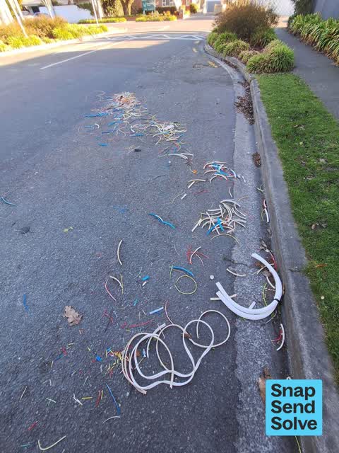 Dumped Rubbish, a report photo