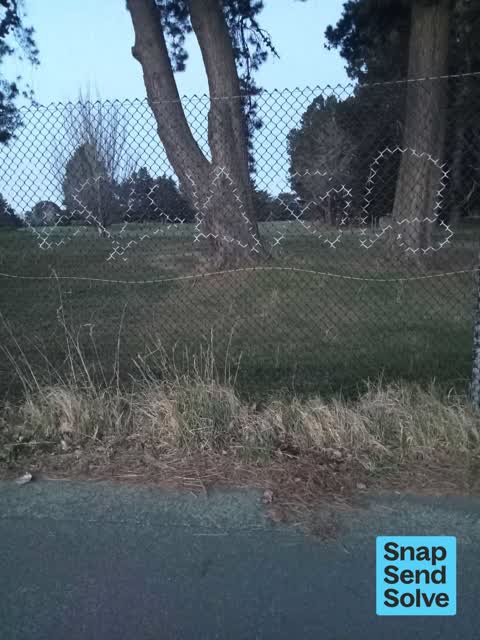 Graffiti on a fence, building or structure, a report photo
