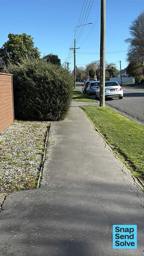 Overgrown Vegetation, a report photo