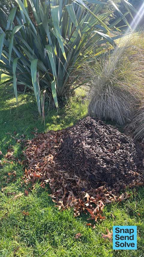 Dumped Rubbish, a report photo