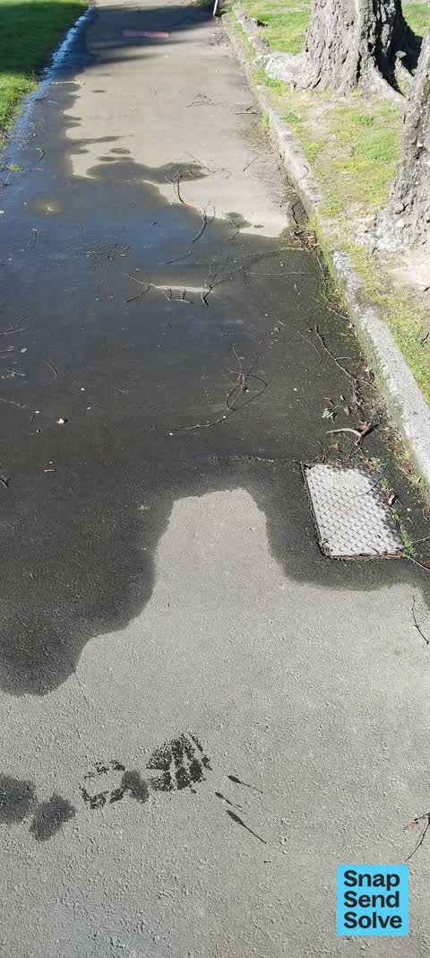 Water Leak, a report photo