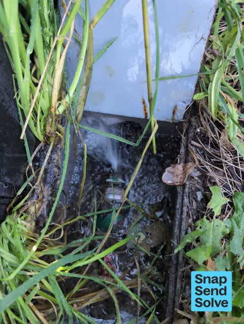 Water Leak, a report photo