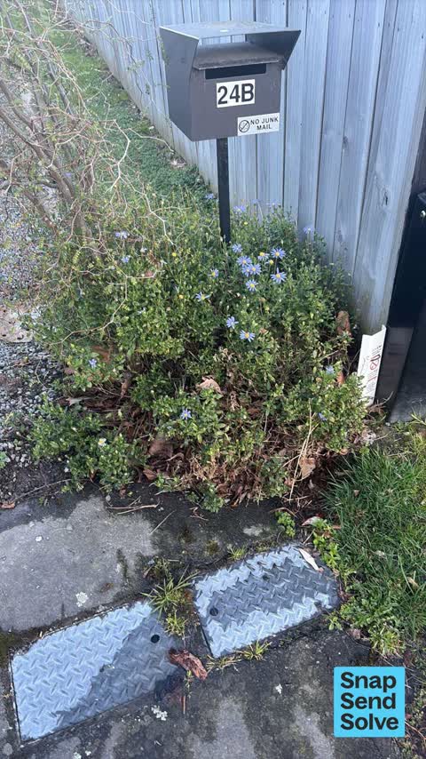 Water Leak, a report photo