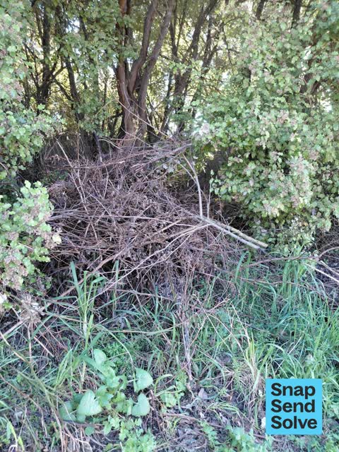General Request, a report photo