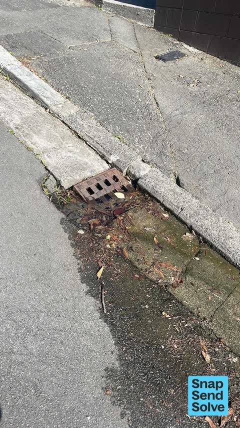 Water Leak, a report photo