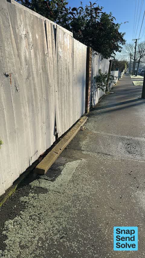 Dumped Rubbish, a report photo