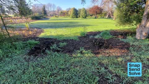 Park - General Request — a report photo