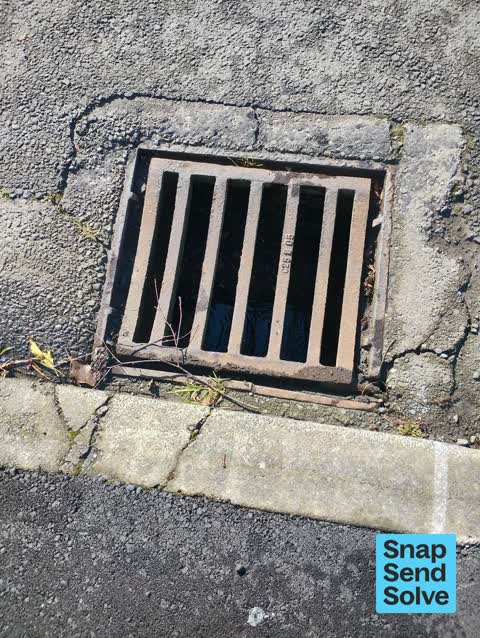 General Request, a report photo