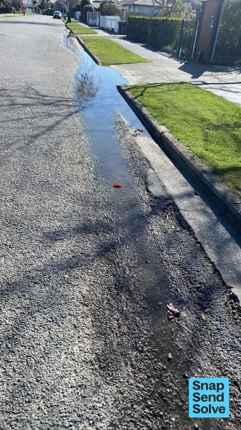 Sewer - Leak / Blockage, a report photo