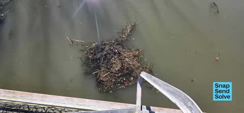 Dumped Rubbish — a report photo
