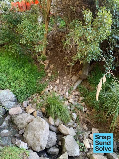 General Request, a report photo