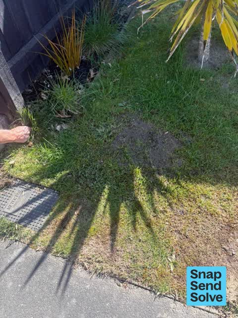 Water Leak, a report photo