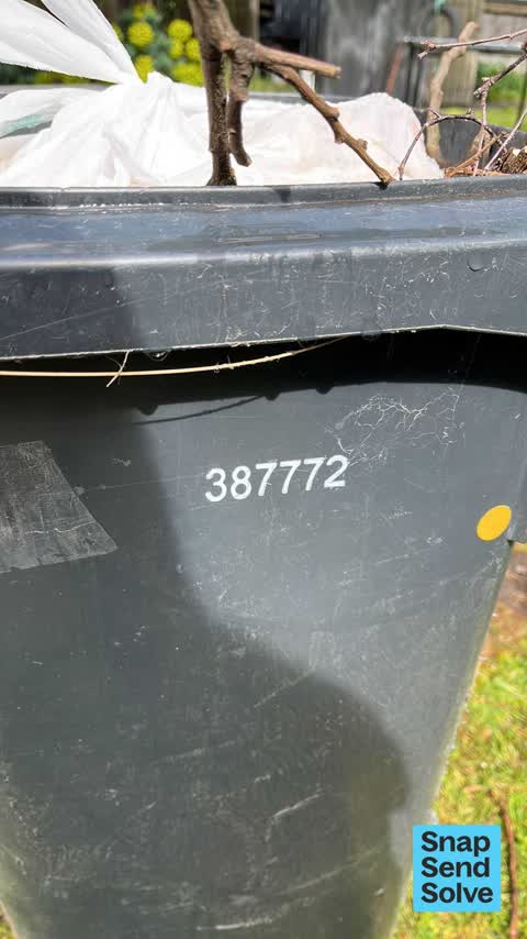 Rubbish and Bins - General, a report photo