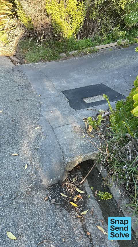 Water Leak, a report photo