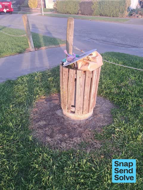 Rubbish and Bins - General, a report photo