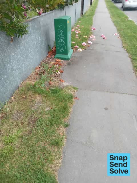 Graffiti on a traffic light pole or cabinet, or wa, a report photo