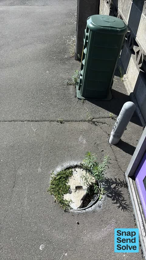 Pavement - Damaged, a report photo