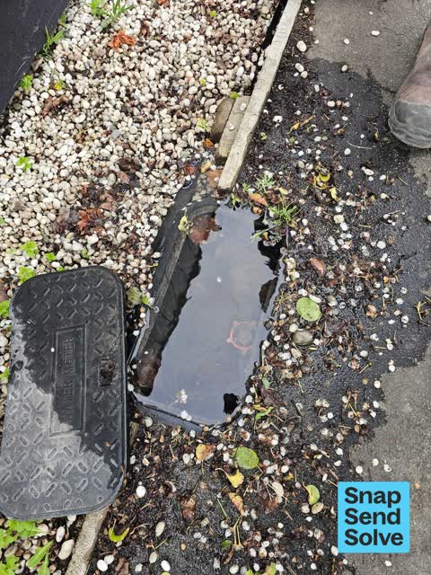 Water Leak, a report photo